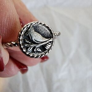 Luca and Dani cardinal ring